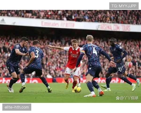 森林队英超赛场展现顽强斗志，稳健防守力抗强敌